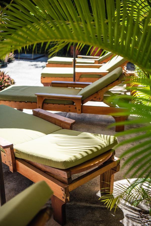 Nautilus Surf & Yoga Villas Santa Teresa Playa Santa Teresa  Kültér fotó