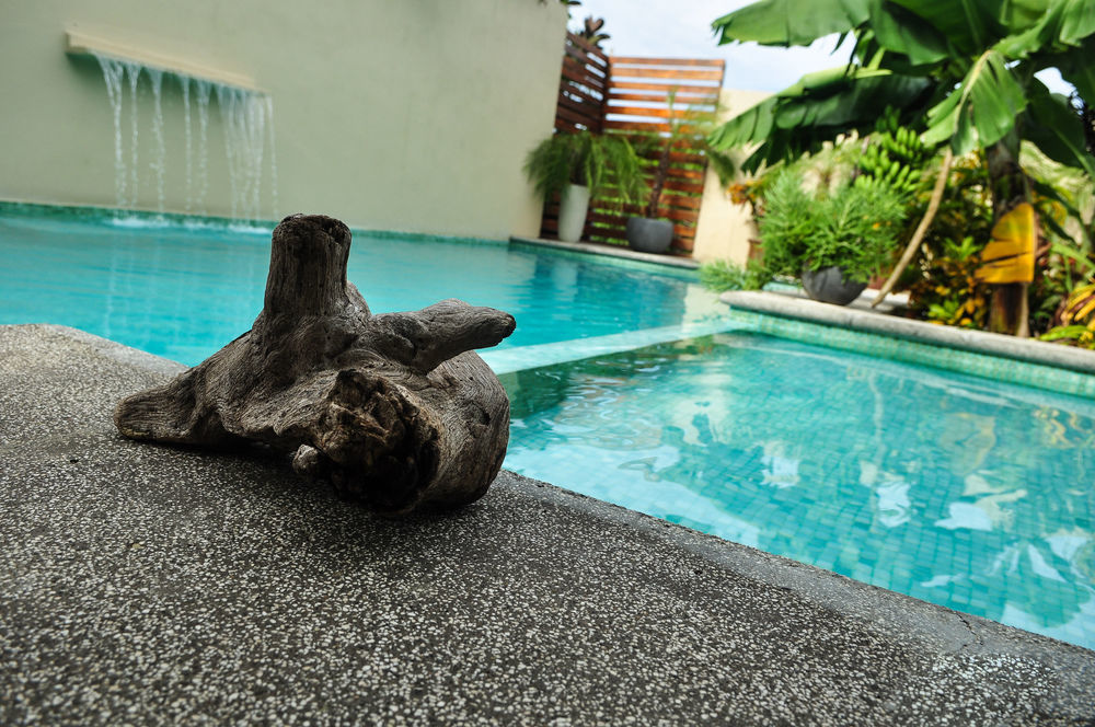 Nautilus Surf & Yoga Villas Santa Teresa Playa Santa Teresa  Kültér fotó
