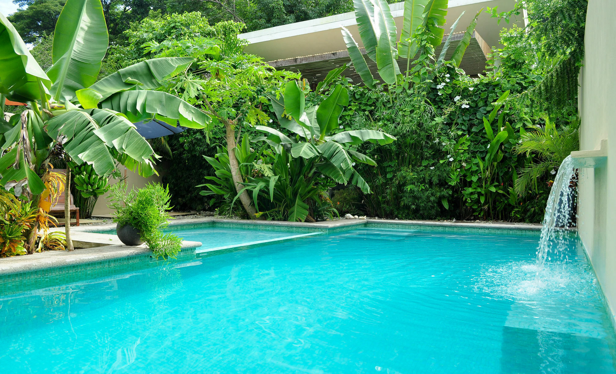 Nautilus Surf & Yoga Villas Santa Teresa Playa Santa Teresa  Kültér fotó